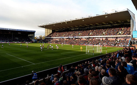 动了花卉产 动了花卉产